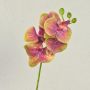 Rama decorativa de orquídea Phalaenopsis OPHELIA, rosa y verde, 40 cm, Ø 7-8 cm
