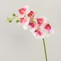 Rama decorativa de orquídea Phalaenopsis OPHELIA, rosa-fucsia, 80 cm, Ø 8-9 cm