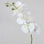 Rama decorativa de orquídea Phalaenopsis OPHELIA, blanca, 80 cm, Ø 8-9 cm