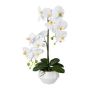 Orquídea Phalaenopsis artificial KASDA, maceta de cerámica, raíces, blanca, 50cm