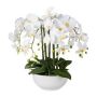 Orquídea Phalaenopsis artificial KASDA, cuenco de cerámica, raíces, blanco, 55cm