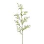 Rama de flor artificial «Estrella» KLIRMO, blanca, 55 cm, Ø 1,5 cm