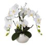 Arreglo floral de orquídea artificial y sauce retorcido LULUDI, maceta de cerámica blanca, raíces blancas, 55cm