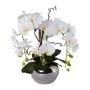 Arreglo floral de orquídeas artificiales y sauce retorcido LULUDI, maceta de cerámica plateada, raíces blancas, 55cm