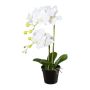 Orquídea Phalaenopsis artificial WENJAN, maceta decorativa, raíces, blanca, 55 cm