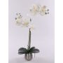 Orquídea Phalaenopsis de tela KAREN, maceta decorativa, efecto helado, blanca, 50 cm