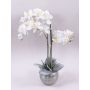 Orquídea Phalaenopsis de tela KAREN, maceta decorativa, efecto helado, blanca, 60 cm