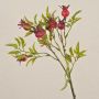 Rama de rosa silvestre artificial VIVEKA con escaramujos, roja, 45cm
