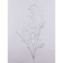 Rama de sauce artificial DONATELLA, plateada, 95cm