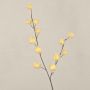 Rama decorativa de Gomphocarpus ELAENA, con frutos, beige-violeta, 100 cm