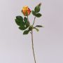 Rosa de terciopelo RENESMEE, amarillo-rojo, 45 cm, Ø 6 cm