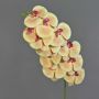 Rama de orquídea Phalaenopsis artificial XURI, melocotón y fucsia, 95 cm, Ø 12,5 cm