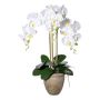 Orquídea Phalaenopsis artificial FRIMTOR en maceta de terracota, raíces, blanca, 75cm