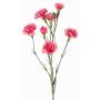 Rama decorativa de clavel PIARA, rosa, 60 cm, Ø 3-5 cm