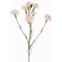 Rama decorativa de clavel PIARA, rosa pálido, 60 cm, Ø 3-5 cm