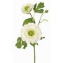 Ranúnculo artificial SAGARA, blanco-verde, 45 cm, Ø 5-9 cm
