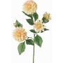 Rama decorativa de dalia QUINKA, crema-rosa, 70 cm