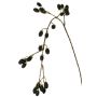 Rama artificial de zarzamora URUMA con frutos, negra, 100 cm