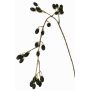 Rama artificial de zarzamora URUMA con frutos, negra, 100cm