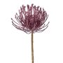 Alfiletero decorativo con flor de protea ZIRMO, lila, 50cm