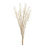 Ramo decorativo de bayas de kermes ILMOR, bayas, aspecto seco, beige, 50 cm