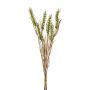 Ramo decorativo de trigo TILPA con espigas, verde, 50 cm