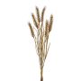 Ramo decorativo de trigo TILPA con espigas, marrón, 50 cm