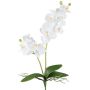 Orquídea Phalaenopsis artificial KRUZBER, varilla de sujeción, raíces, blanca, 55 cm