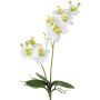 Orquídea Phalaenopsis artificial KRUZBER, varilla de sujeción, raíces, blanco y verde, 55 cm