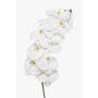 Rama de orquídea Phalaenopsis artificial XURI, blanca, 95 cm, Ø 12,5 cm