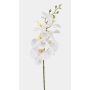 Rama de orquídea Phalaenopsis artificial AXELOR, blanca, 85 cm