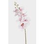 Rama de orquídea Phalaenopsis artificial AXELOR, blanco-rosa, 85 cm