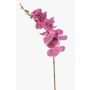 Rama de orquídea Phalaenopsis artificial AXELOR, rosa, 85 cm