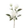 Rama de crisantemo artificial MIRANE, blanco, 70 cm