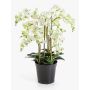Flor artificial, orquídea Phalaenopsis FINEA en maceta decorativa, color crema, 85 cm