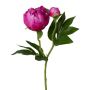 Flor de plástico peonía CORENY, fucsia, 45cm