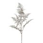 Rama artificial de Asparagus Plumosus BLORVI, plata envejecida, 90cm