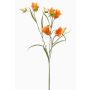 Rama decorativa de campanilla EMMELY, naranja, 65 cm, Ø 5 cm