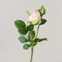 Rosa de terciopelo RENESMEE, rosa pálido, 45 cm, Ø 6 cm