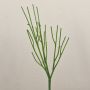Planta decorativa «lápiz» BENEDETTO, verde, 50 cm