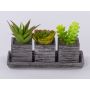 Arreglo de suculentas SYLVIA de espuma plástica en macetas decorativas, verde, 19 x 7,5 x 11 cm
