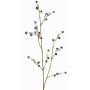 Rama decorativa de Stirlingia latifolia COLLAN, blanco y negro, 75 cm, Ø 1 cm