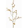 Rama decorativa de Stirlingia latifolia COLLAN, naranja y verde, 75 cm, Ø 1 cm