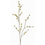 Rama decorativa de Stirlingia latifolia COLLAN, amarillo y verde, 75 cm, Ø 1 cm