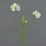 Scabiosa artificial ANDIA, blanca, 80 cm, Ø 8-10 cm