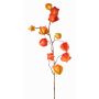 Rama decorativa de physalis PERSEI con frutos, naranja, 80cm