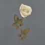 Rosa artificial NAJMA, aspecto seco, rosa crema, 65 cm, Ø 10 cm