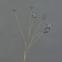 Cápsulas decorativas de amapola ASUMAN, marrón oscuro, 70 cm, Ø 2-3 cm