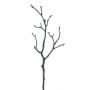 Rama de magnolia artificial LOSTY, marrón, 45 cm
