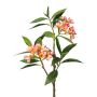 Rama artificial de frangipani DRIFEN, amarillo-rosa, 110 cm